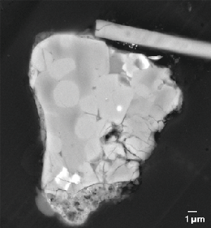 彗星ダスト「Torajiro」の電子顕微鏡写真