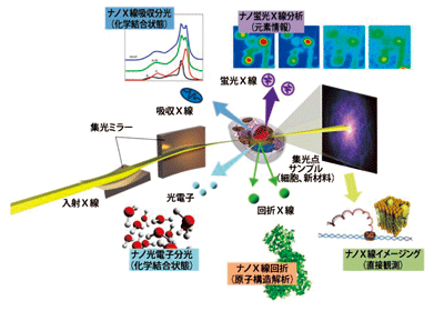 新ビームで広がる研究の可能性