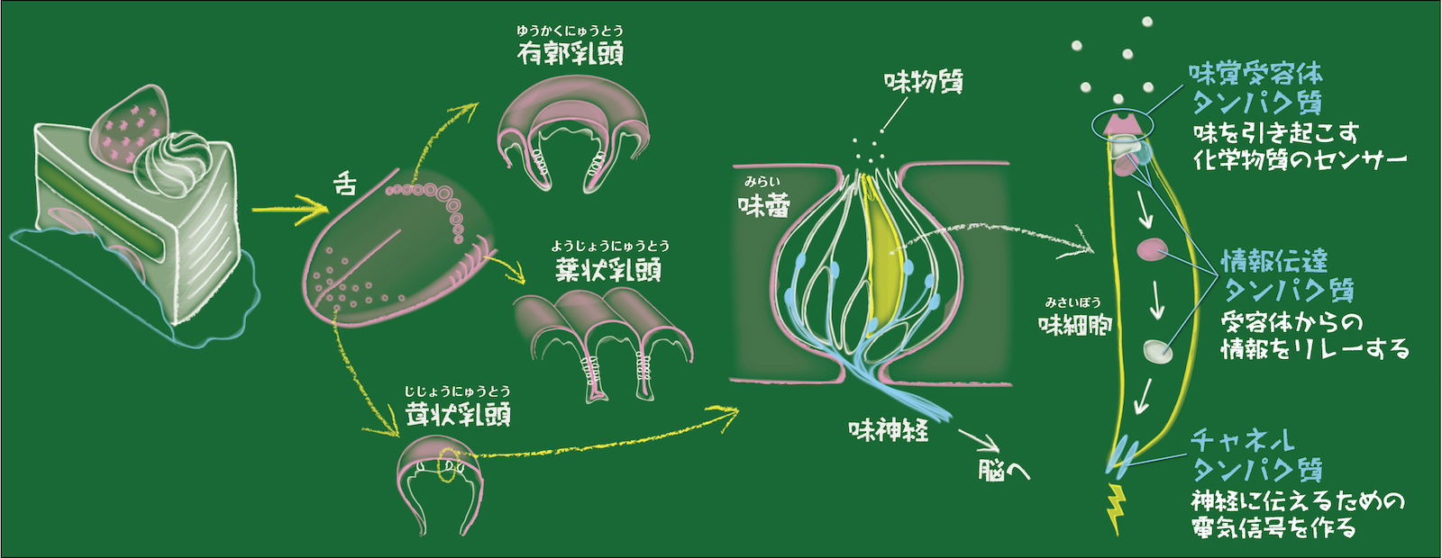 図1