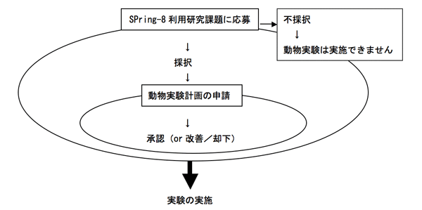 procedure_for_animal_experiment.gif