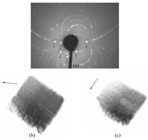 Organic_Crystal_Topo.pdf.jpg