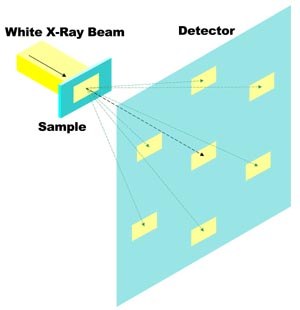 white-xray-topo.jpg