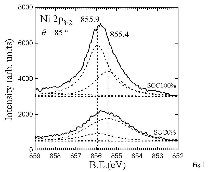 Li Fig.1.JPG